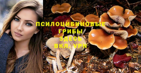 бутират Баксан